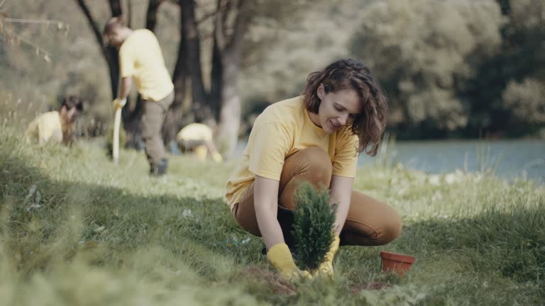 Best Lawn Renovation and Restoration  in Ukiah, CA